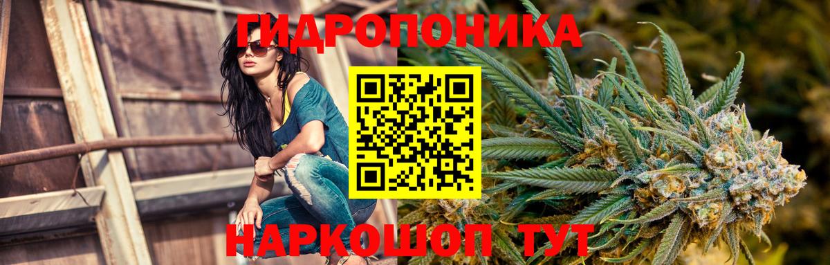 Бошки марихуана AK-47  Конопля ГИДРОПОН  Скопин  Вход с VPN 